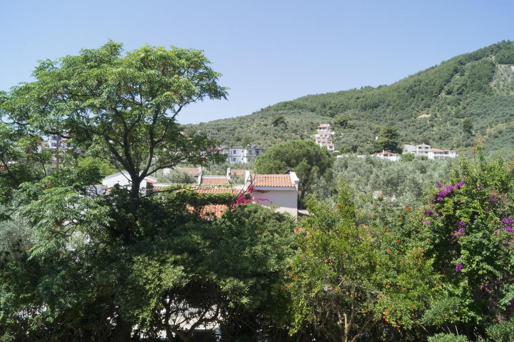 Hotel Lalaria Скиатос Экстерьер фото